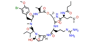 Pompanopeptin A